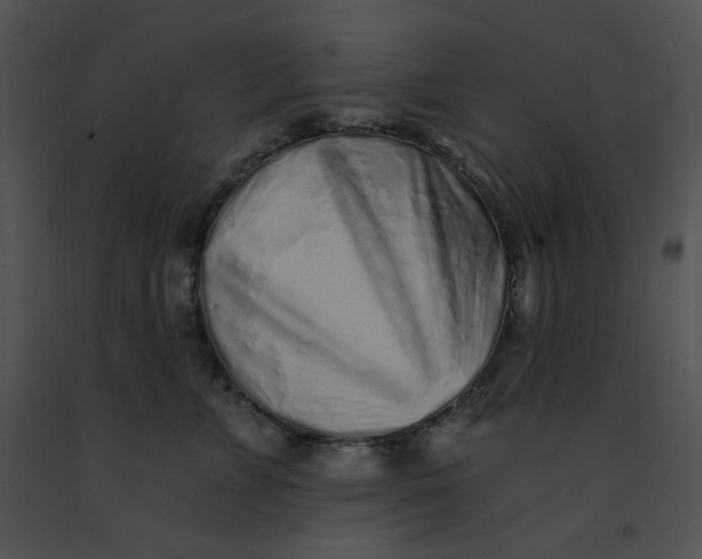 X0000091370715200708311525