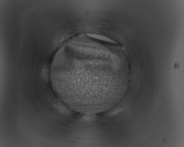 X0000091370720200708311525