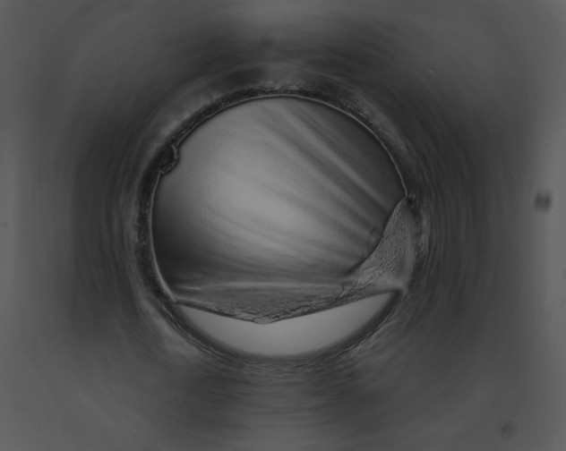 X0000091370722200708311525