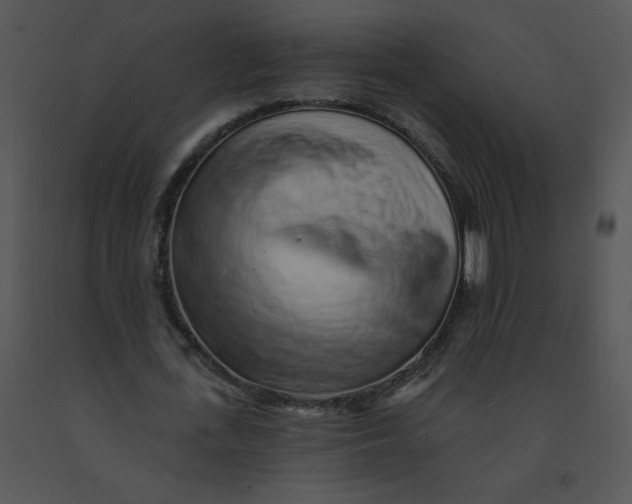 X0000091370723200708311525