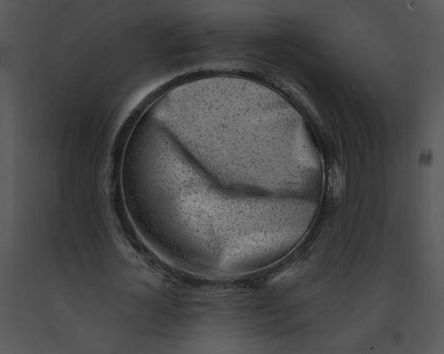 X0000091370724200708311525