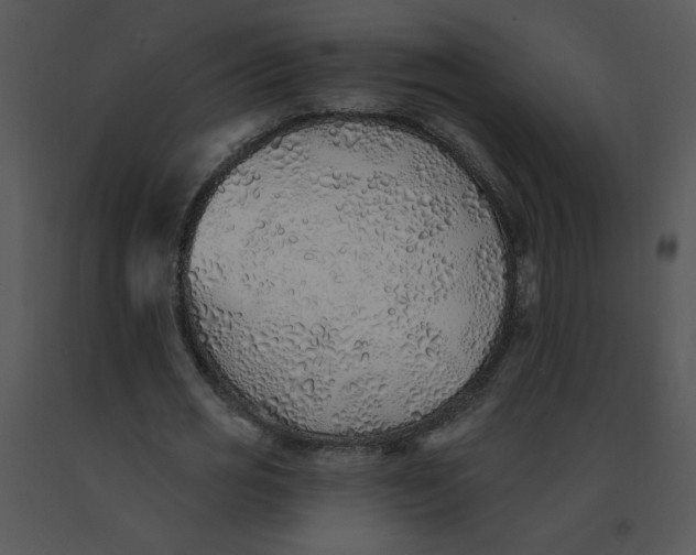 X0000091370725200708311525