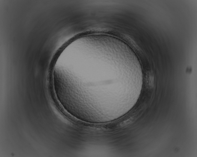 X0000091370726200708311525