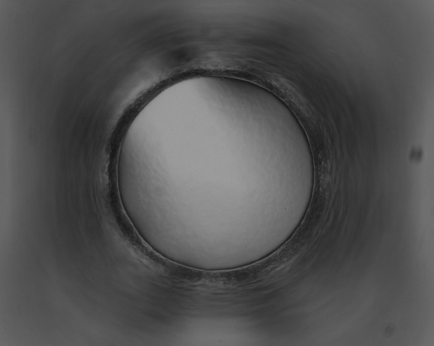 X0000091370727200708311525