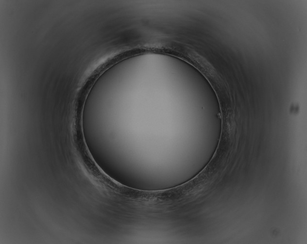 X0000091370728200708311525