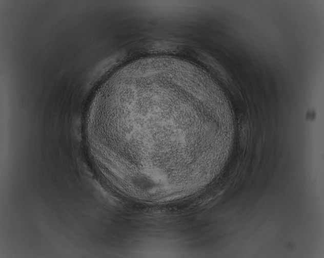 X0000091370729200708311525