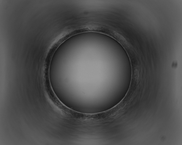 X0000091370730200708311525