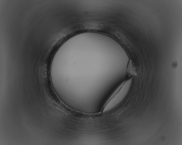 X0000091370731200708311525