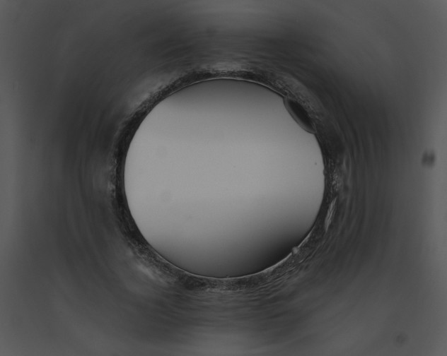 X0000091370732200708311525