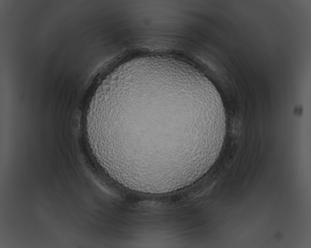 X0000091370733200708311525