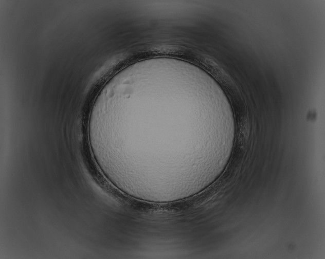 X0000091370734200708311525