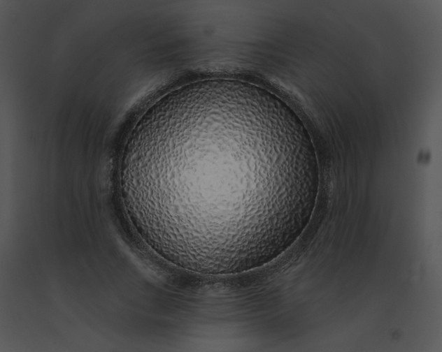 X0000091370735200708311525