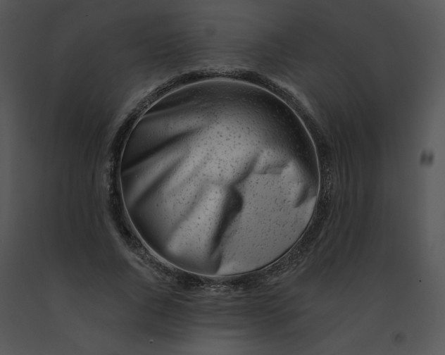 X0000091370736200708311525