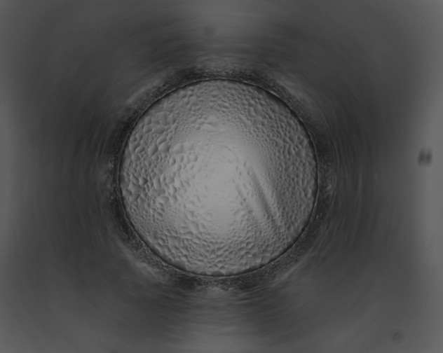 X0000091370737200708311525