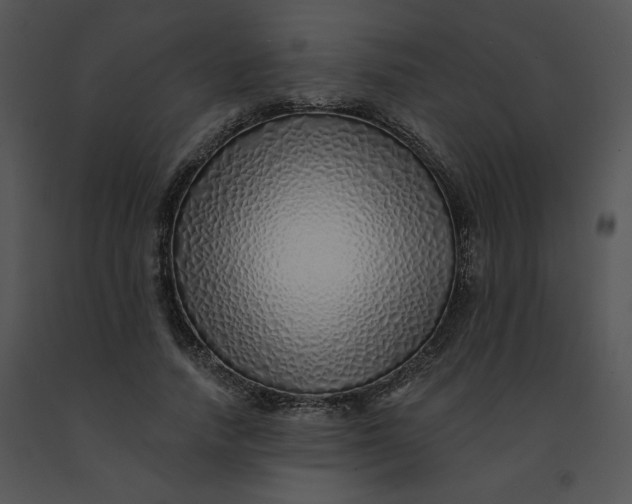 X0000091370738200708311525