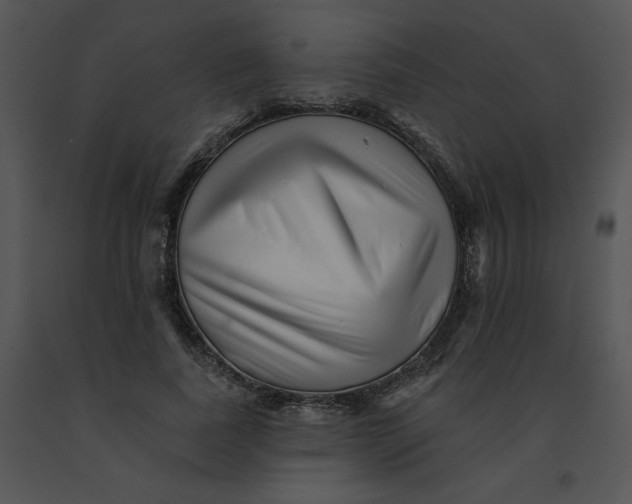 X0000091370739200708311525