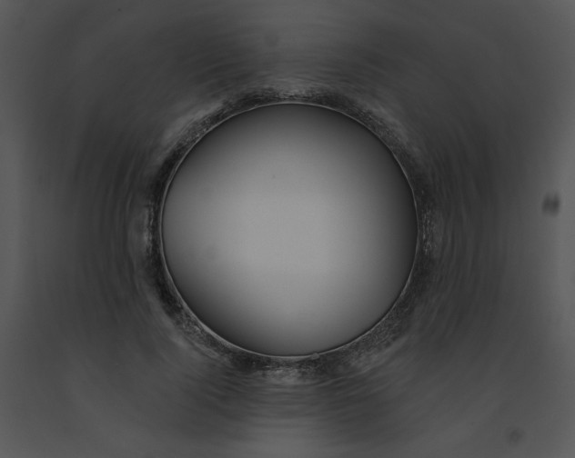 X0000091370740200708311525