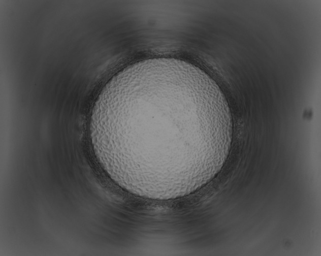 X0000091370741200708311525