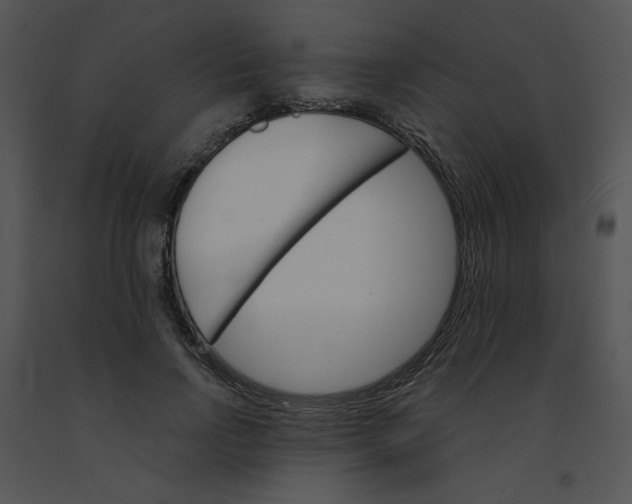 X0000091370742200708311525