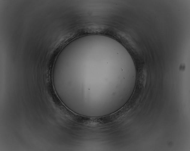 X0000091370743200708311525