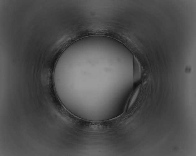 X0000091370744200708311525