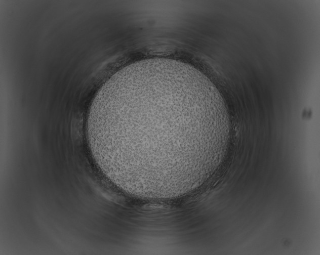 X0000091370745200708311525