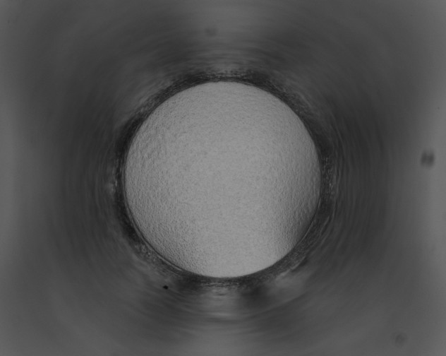 X0000091370746200708311525