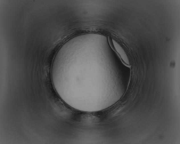 X0000091370747200708311525