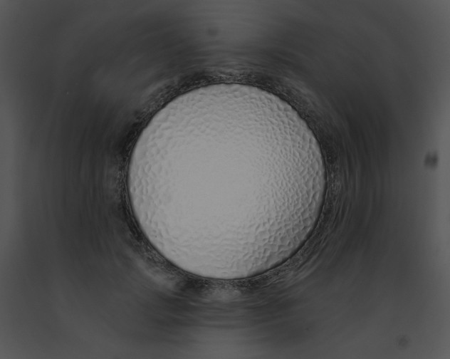 X0000091370749200708311525