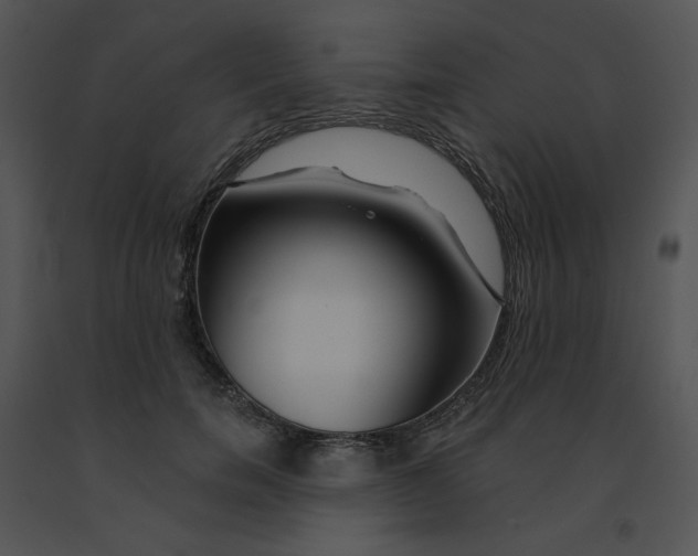 X0000091370750200708311525