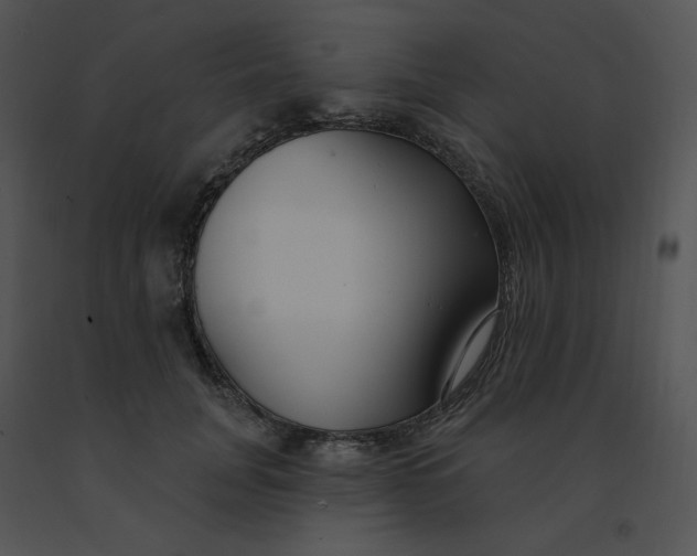 X0000091370751200708311525