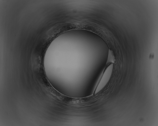 X0000091370752200708311525