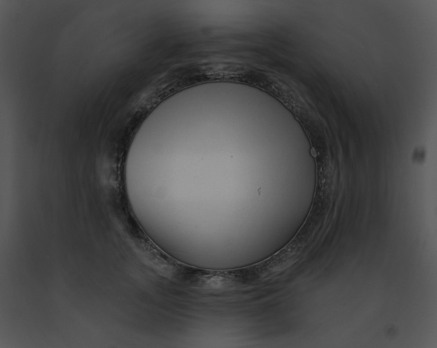 X0000091370755200708311525