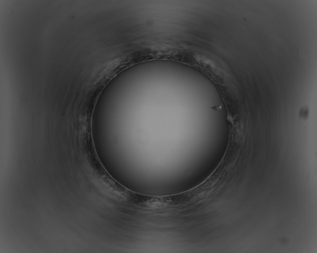 X0000091370756200708311525