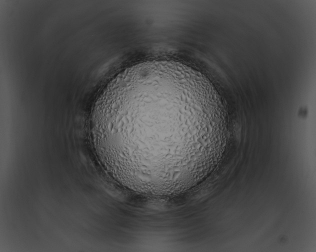 X0000091370757200708311525