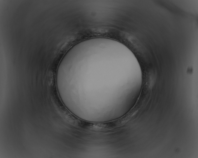 X0000091370758200708311525