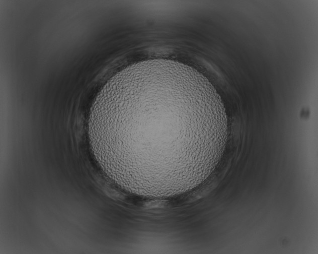 X0000091370761200708311525