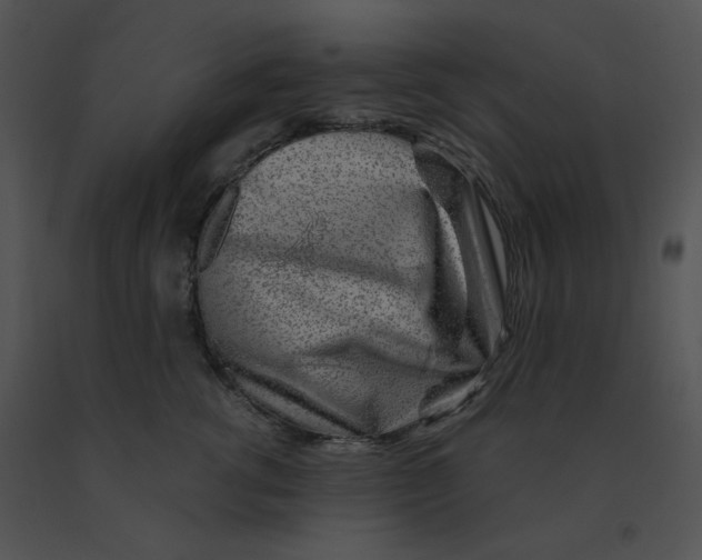 X0000091370762200708311525