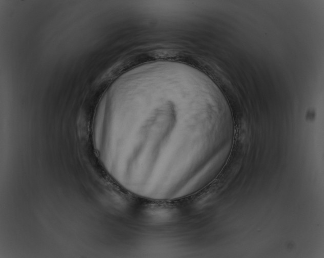 X0000091370763200708311525