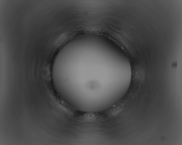 X0000091370764200708311525