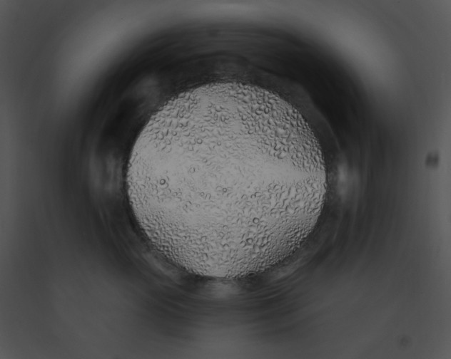 X0000091370765200708311525