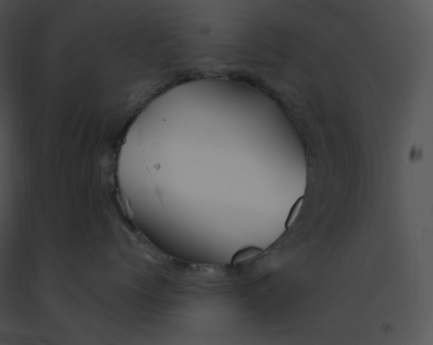 X0000091370768200708311525