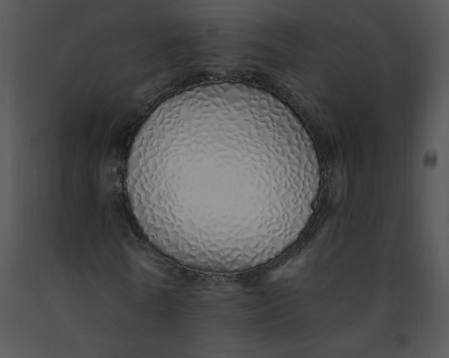 X0000091370770200708311525