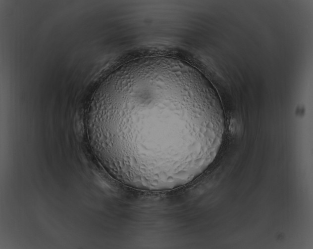 X0000091370771200708311525