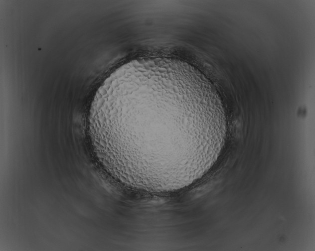 X0000091370772200708311525