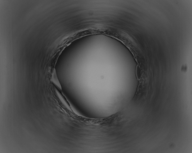 X0000091370773200708311525