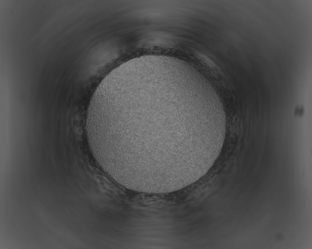 X0000091370774200708311525