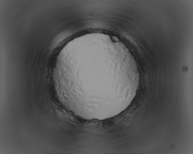 X0000091370775200708311525