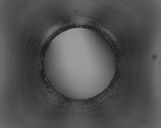 X0000091370776200708311525