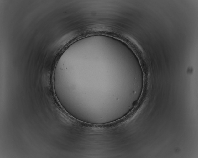 X0000091370777200708311525